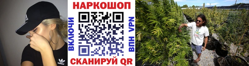 Купить закладку Каннабис  Меф мяу мяу  Гашиш  Тайшет
