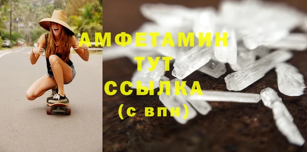 mix Инта