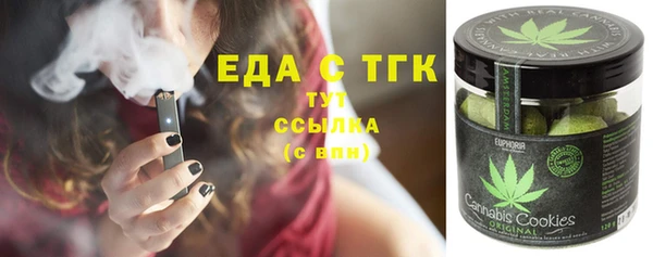 mix Инта