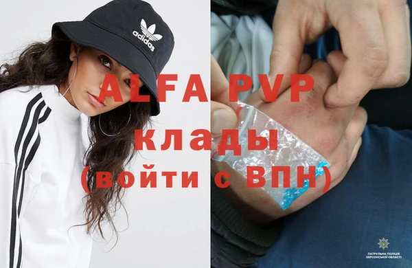 mix Инта