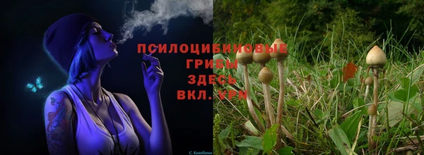 mix Инта
