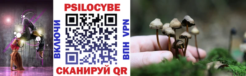 Псилоцибиновые грибы MAGIC MUSHROOMS Тайшет